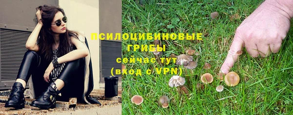 ПСИЛОЦИБИНОВЫЕ ГРИБЫ Покровск