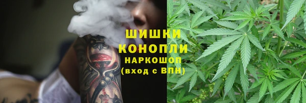 ПСИЛОЦИБИНОВЫЕ ГРИБЫ Покровск