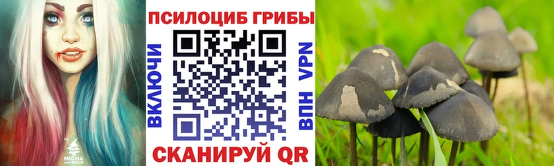 Псилоцибиновые грибы прущие грибы  Горячеводский 