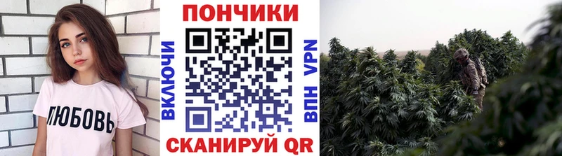сколько стоит  mega ссылки  Марихуана Ganja  Горячеводский 